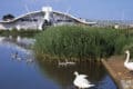 Dinosaur Isle exterior with swans in foreground