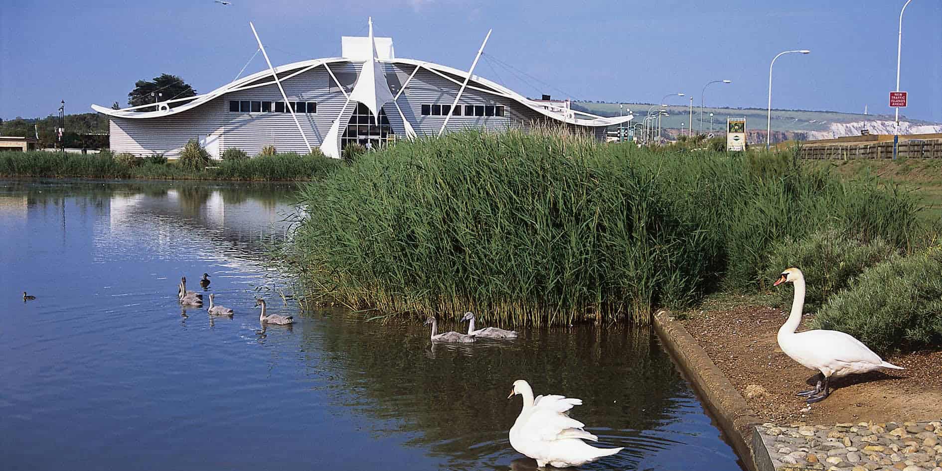 Dinosaur Isle exterior with swans in foreground