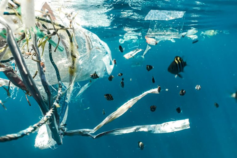 School of fish swimming near plastic pollution