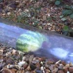 Jet equipment in a transparent tube shifting a melon to demonstrate how fatbergs are unblocked from sewers