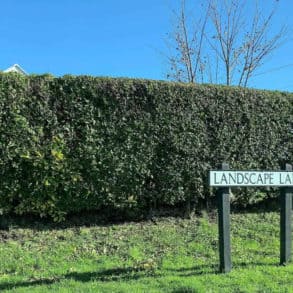 Landscape lane road sign