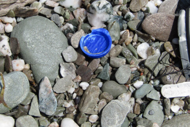 Smarties Lid on a beach in Cornwall