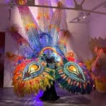 Ad Astra exhibition at Quay Arts showing carnival costumes that are related to birds and flight