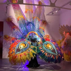 Ad Astra exhibition at Quay Arts showing carnival costumes that are related to birds and flight