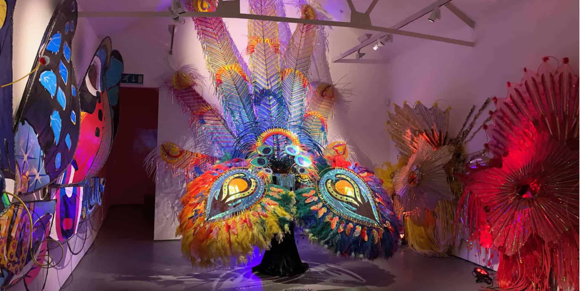 Ad Astra exhibition at Quay Arts showing carnival costumes that are related to birds and flight