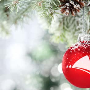 red bauble hang on fir branch in snow