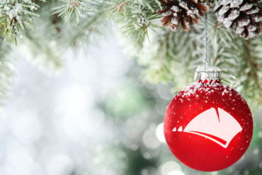 red bauble hang on fir branch in snow