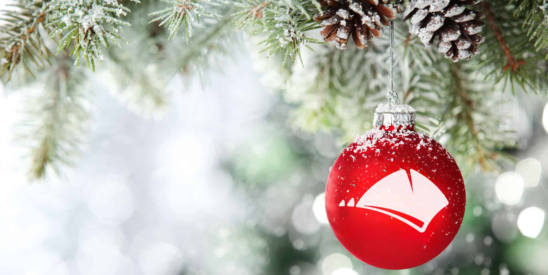 red bauble hang on fir branch in snow