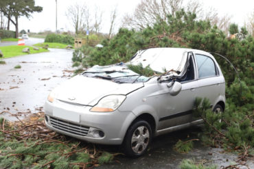 car crushed by a fallen pine tree in bouldnor car park