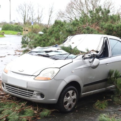 car crushed by a fallen pine tree in bouldnor car park