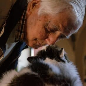 older man touching noses with a fluffy black and white cat