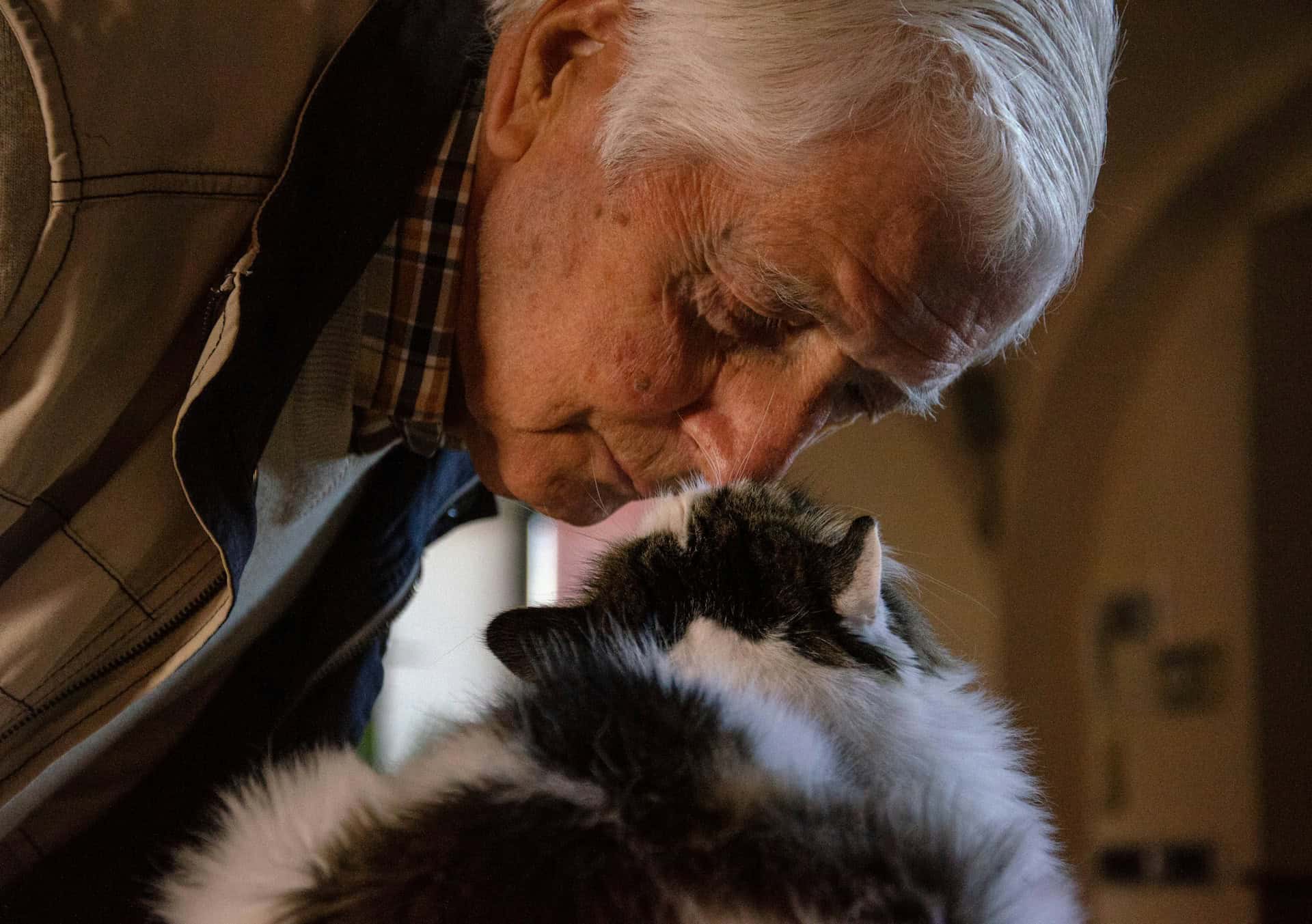 older man touching noses with a fluffy black and white cat