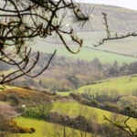 View out to surrounding landscape from Grammar's Wood