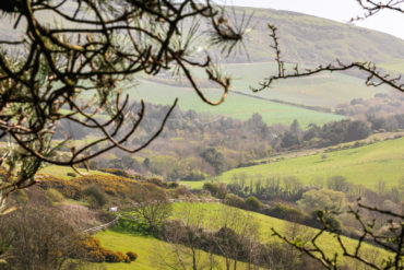 View out to surrounding landscape from Grammar's Wood