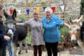 Donkeys at the care home