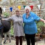 Donkeys at the care home