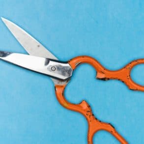 orange handled scissors on a blue background