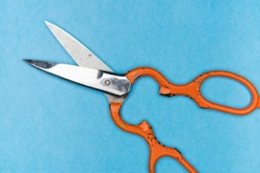 orange handled scissors on a blue background