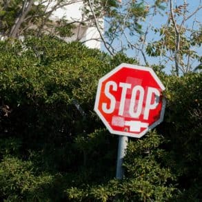 stop road sign in a bush