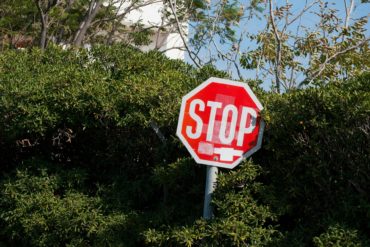 stop road sign in a bush