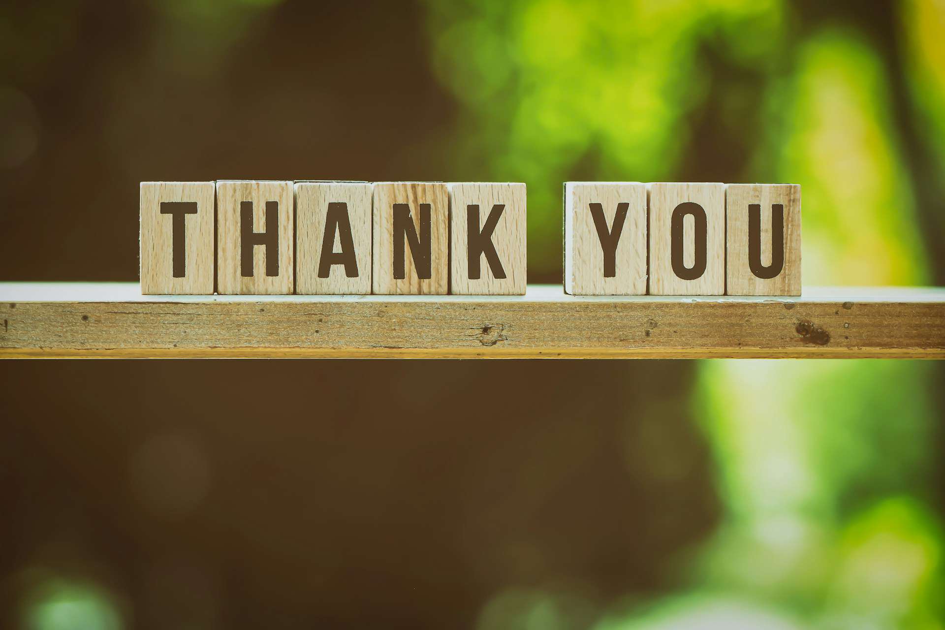 wooden blocks spelling out 'thank you'