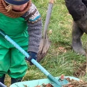 Child and granddad working on Gurnard community farm