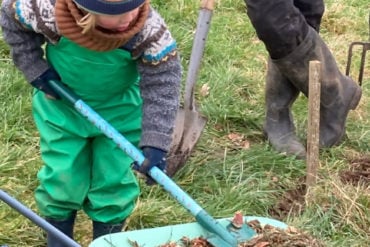 Child and granddad working on Gurnard community farm