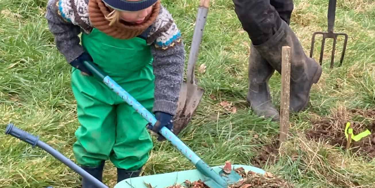 Child and granddad working on Gurnard community farm