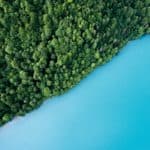 Half the photo shows aerial view of trees and half shows aerial view of sea