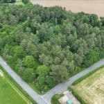 Little Lynn Common from the air