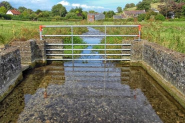 Lukley brook river