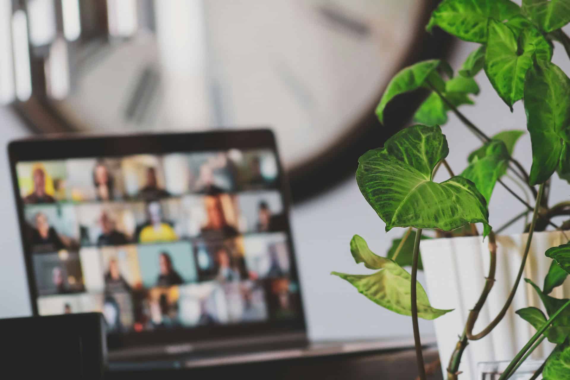 photo of laptop with zoom call in progress, green plant on desk and clock in the background