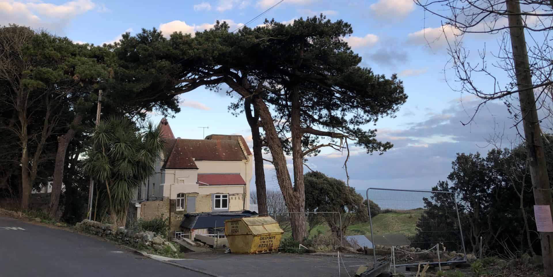 Photo of the pine trees at ventnor towers hotel