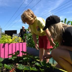 Mother and child exploring the strawberry beds