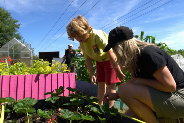 Mother and child exploring the strawberry beds