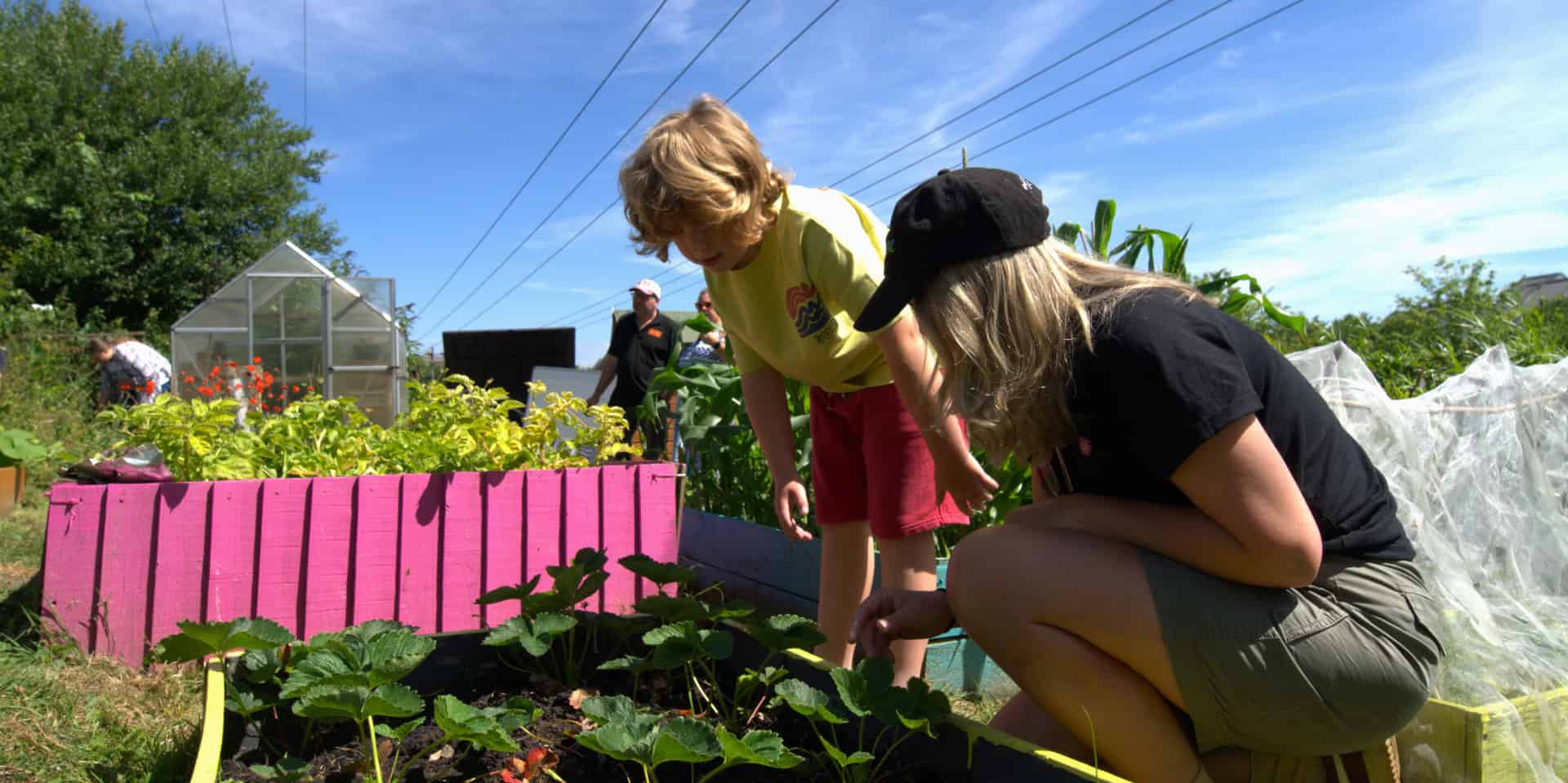 Mother and child exploring the strawberry beds