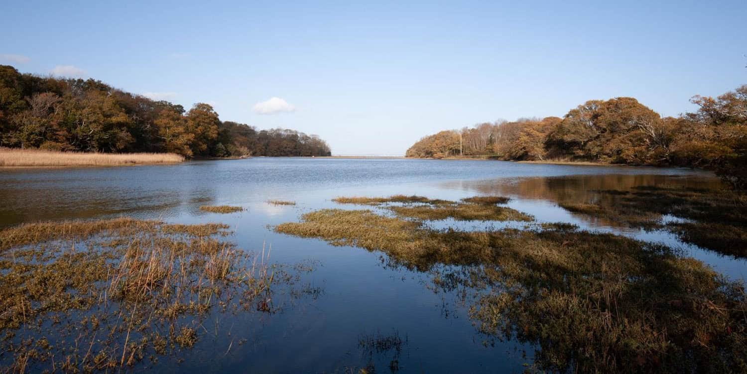 Kings Quay lake