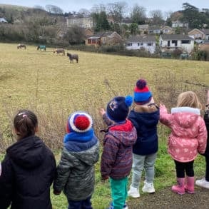 Wroxall robins looking at horses