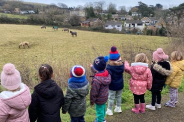 Wroxall robins looking at horses