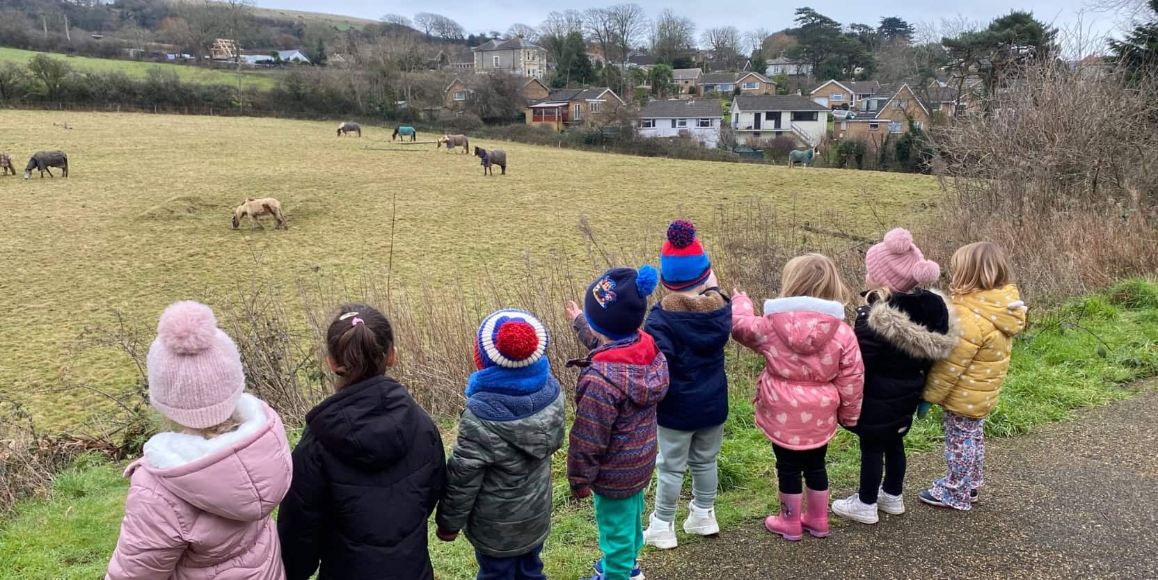 Wroxall robins looking at horses