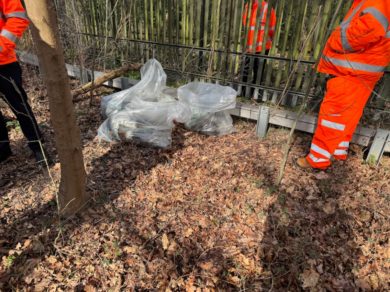 flytipping in orpington