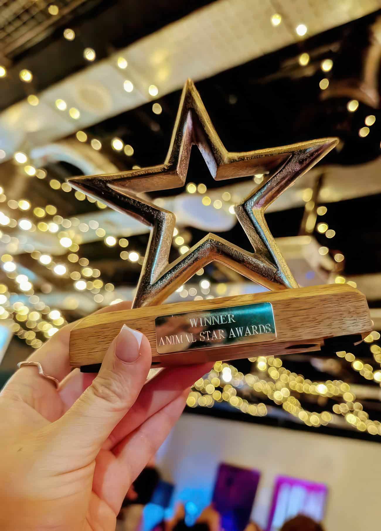The IW drone SAR team's ASA award