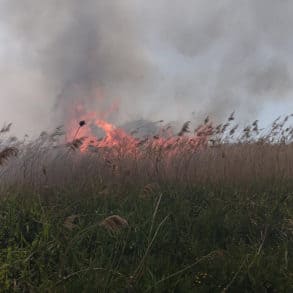 Start of major wildfire in Sandown