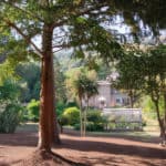 Garden at Under Rock, Bonchurch