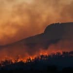 Silhouette of trees against raging fires