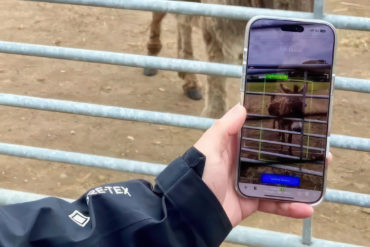 Person using the ELVIS app