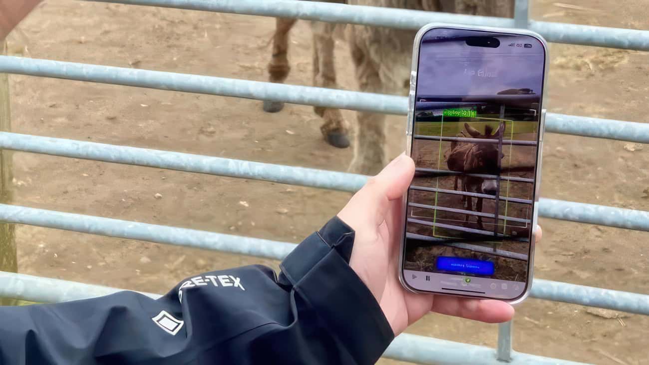 Person using the ELVIS app