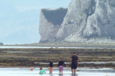 Father and children paddling in the sea at Whitecliff Bay, with Culver in the background