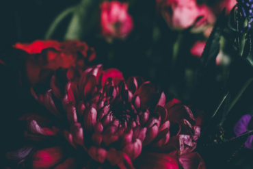 Bouquet of flowers on a dark background