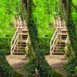 The new flights of wooden steps repeated times four across the image